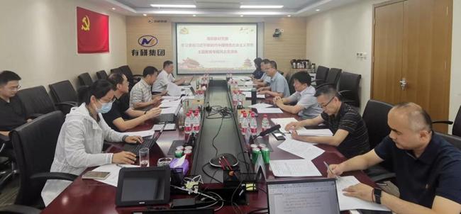 bbin领导班子指导基层党组织主题教育专题民主（组织）生活会