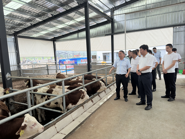 bbin党委班子成员赴贵州省思南县调研督导定点帮扶工作