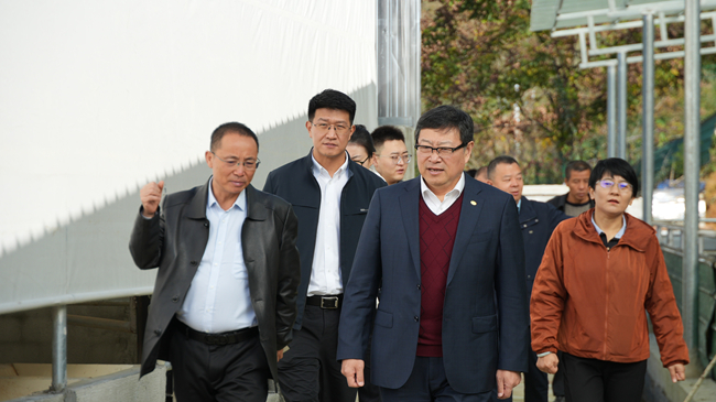 bbin
党委副书记、总经理艾磊赴贵州省思南县调研集团定点帮扶工作