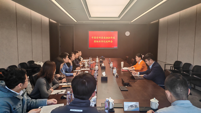 bbin
团委召开2025年度团组织书记述职会