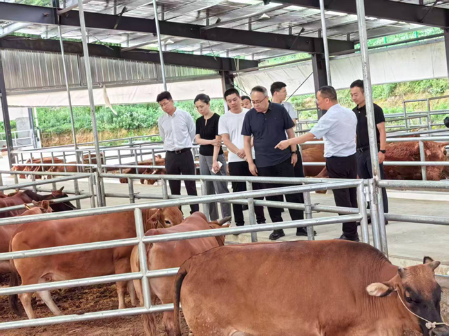 bbin党委委员、纪委书记唐学智赴思南县调研定点帮扶工作并接送挂职干部