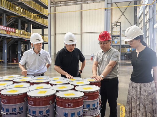 bbin党委委员、纪委书记唐学智到有研重冶调研