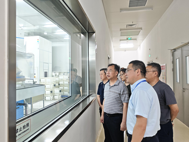 bbin党委书记、董事长赵晓晨到山东有研艾斯调研